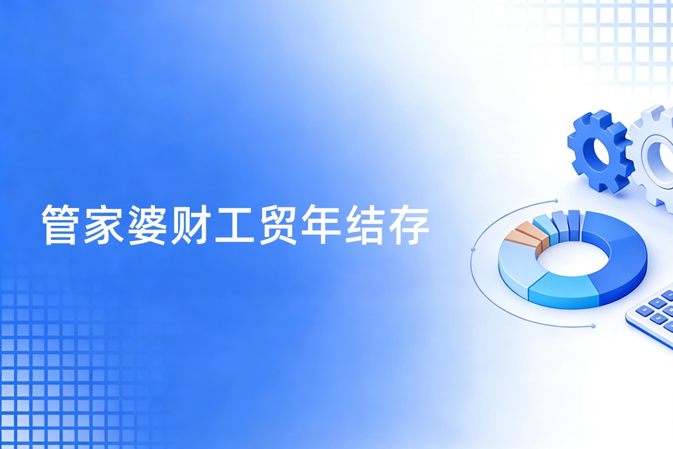 2025年管家婆财工贸年结存